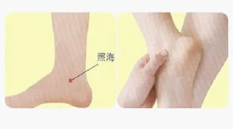 适合不同年龄段篮球爱好者的体能训练方案_2